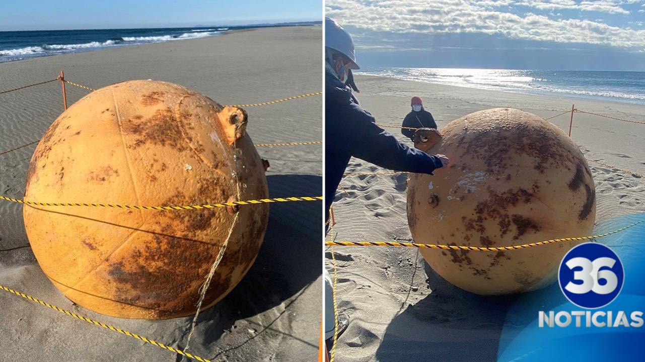 Descubren en Japón una misteriosa esfera de metal llamada el "Huevo de Godzilla"