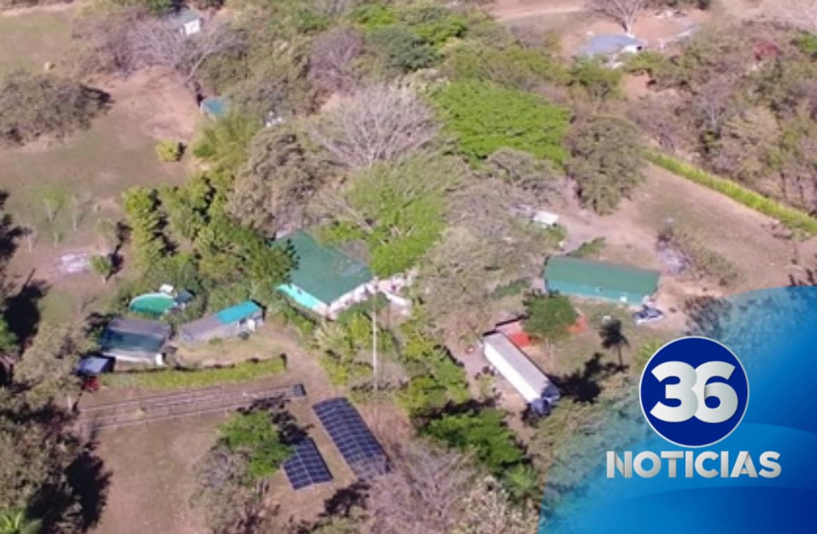 Policía de Control de Drogas de Costa Rica captura a pareja de canadienses por cultivo de marihuana en refugio de animales en Guanacaste