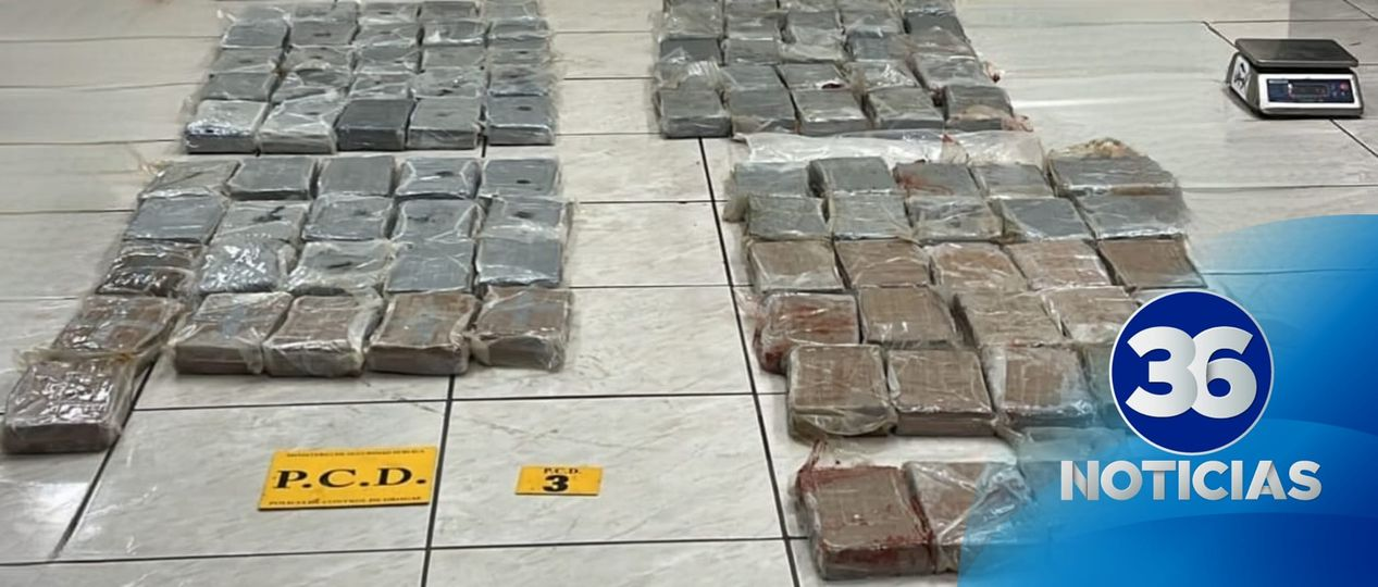 Decomisan 103 paquetes de cocaína en el muelle Gastón Kogan de Moín, Limón