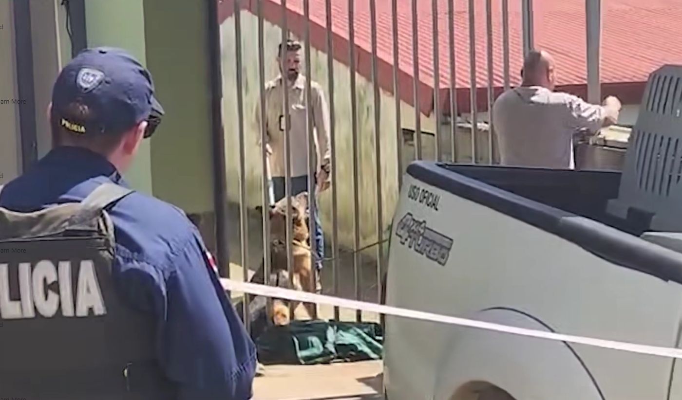 Autoridades de SENASA decomisan al perro responsable de ataque mortal a niño en Pavones, San Isidro de El General