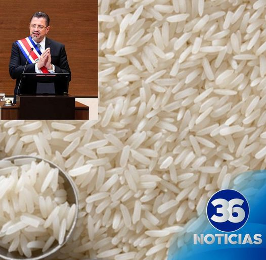 Gobierno de Rodrigo Chaves logra disminución histórica en el precio del arroz en Costa Rica