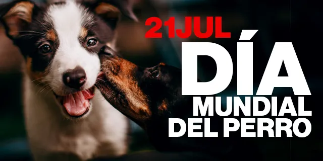Día Mundial del Perro: Celebrando la Lealtad y Amor Incondicional de Nuestros Compañeros Caninos