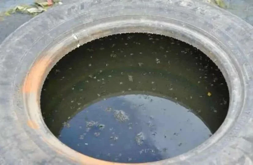 CCSS Lanza Campaña Contra el Dengue en Comunidades
