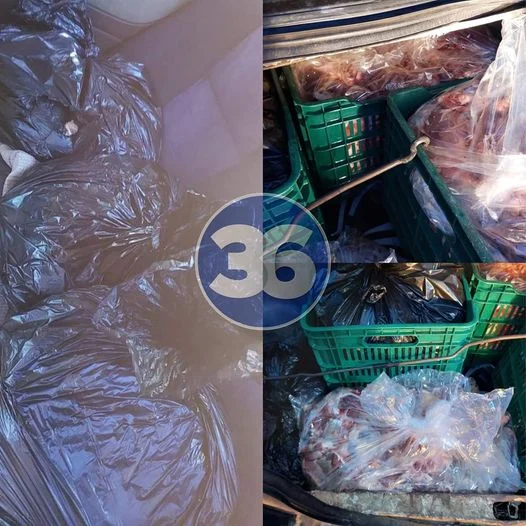Detenidos en Coronado por Carne de Res Sin Procedencia
