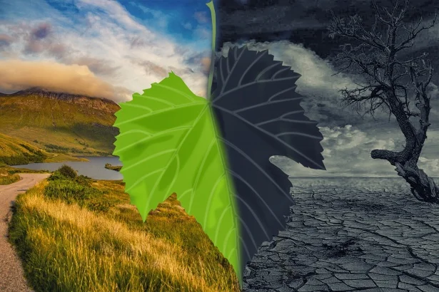 Cambio Climático y Sostenibilidad: Desafío Global