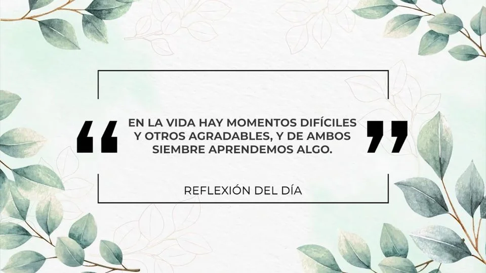 Aprende de los Altibajos de la Vida