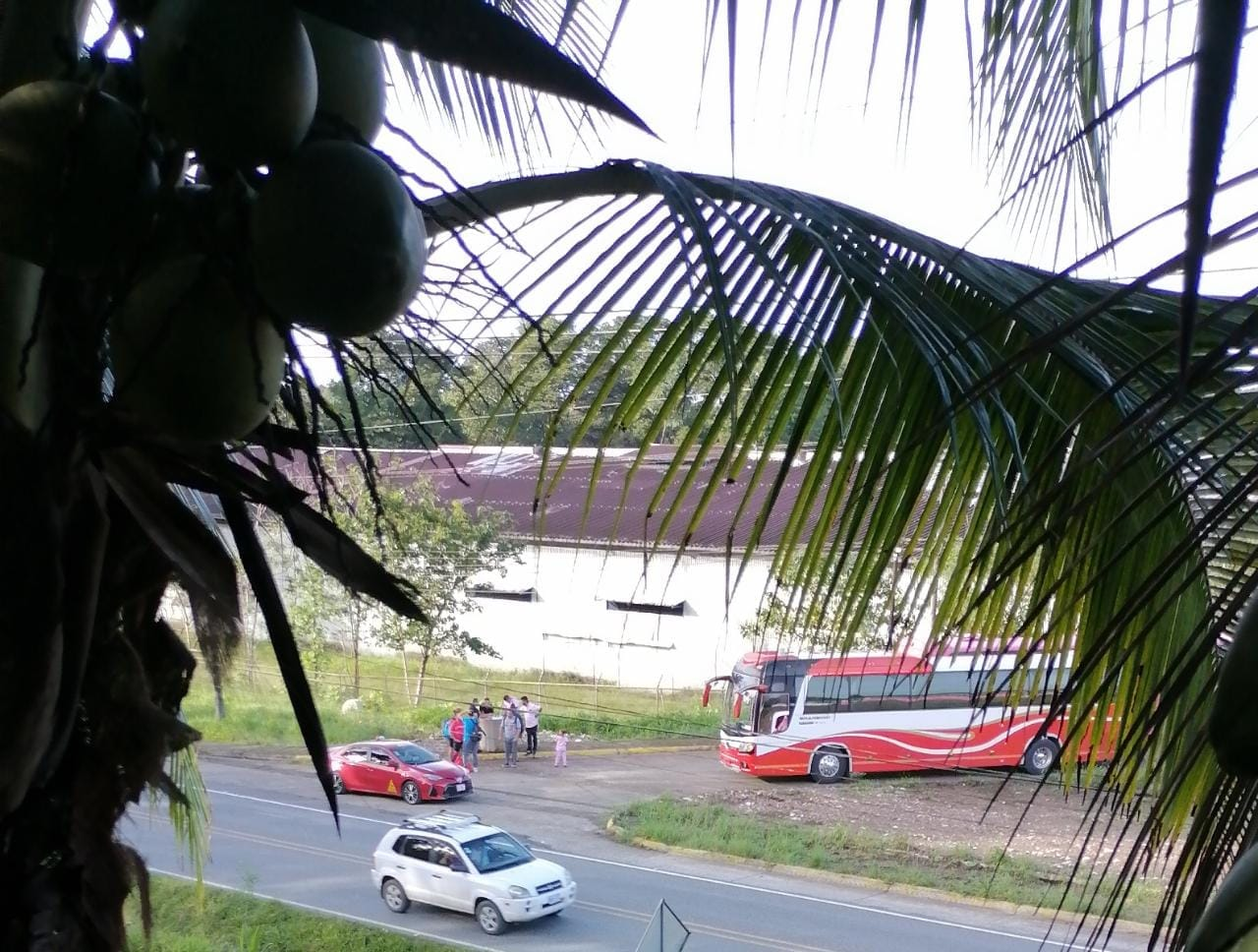Buses con Migrantes Venezolanos en Ruta a Costa Rica: Destino Frontera Norte