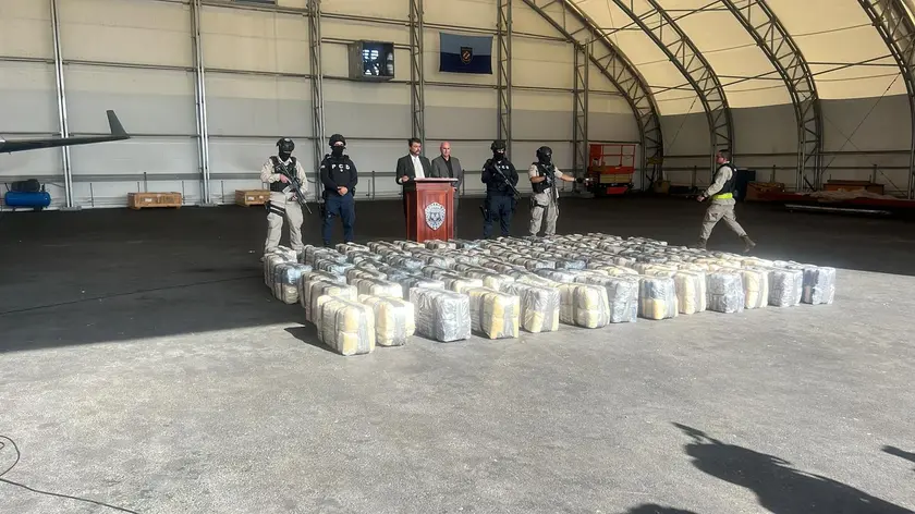 Decomisan 1.3 Toneladas de Marihuana en Osa