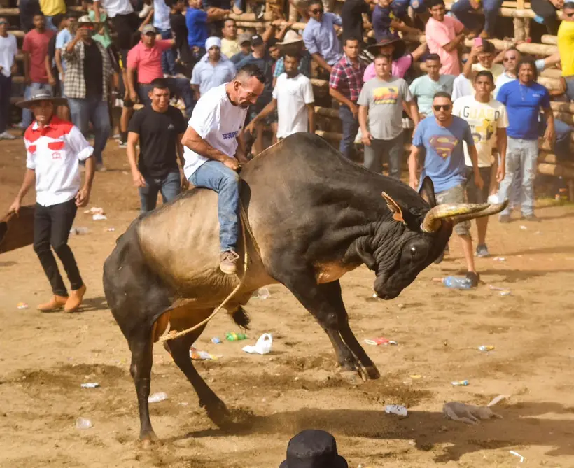 Típicas Nacionales en Santa Cruz: Conteo Regresivo para la Fiesta de Enero