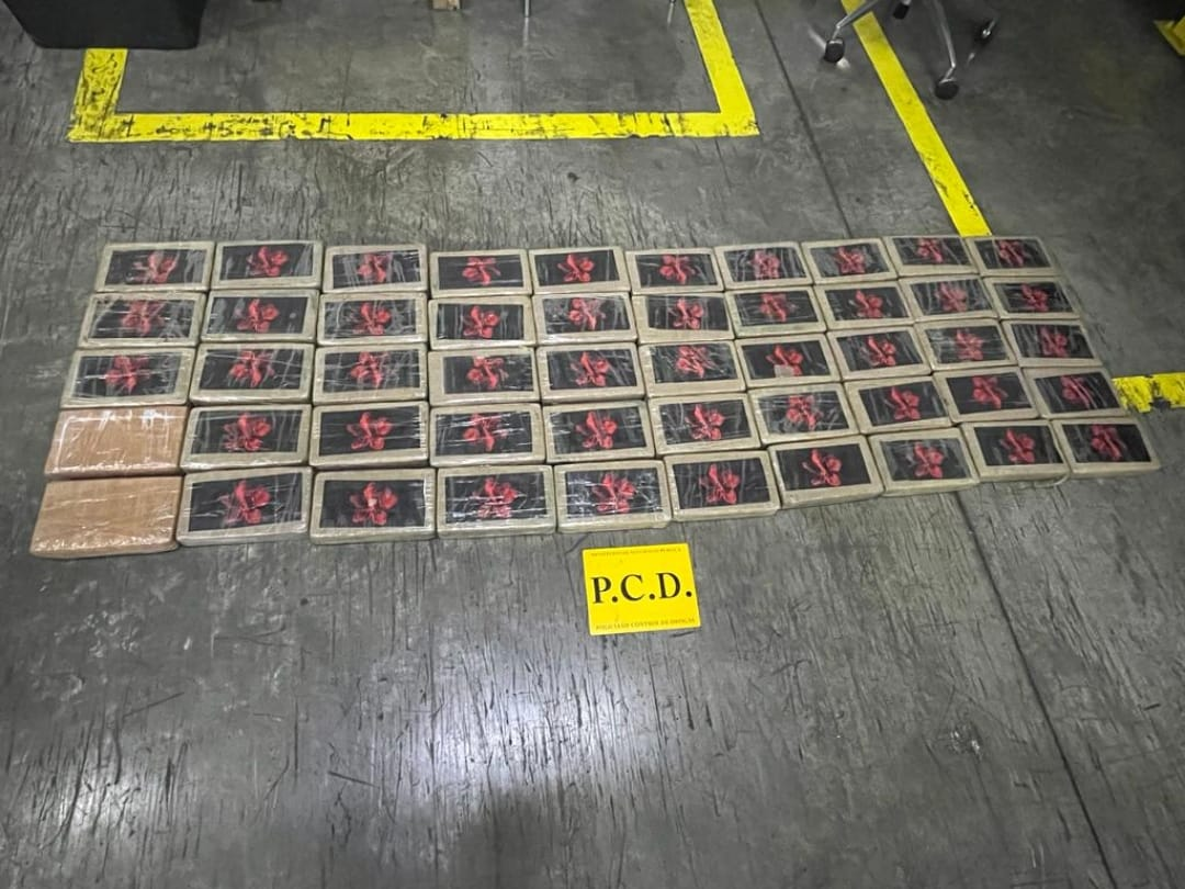Se Decomisan 50 Kilos de Cocaína