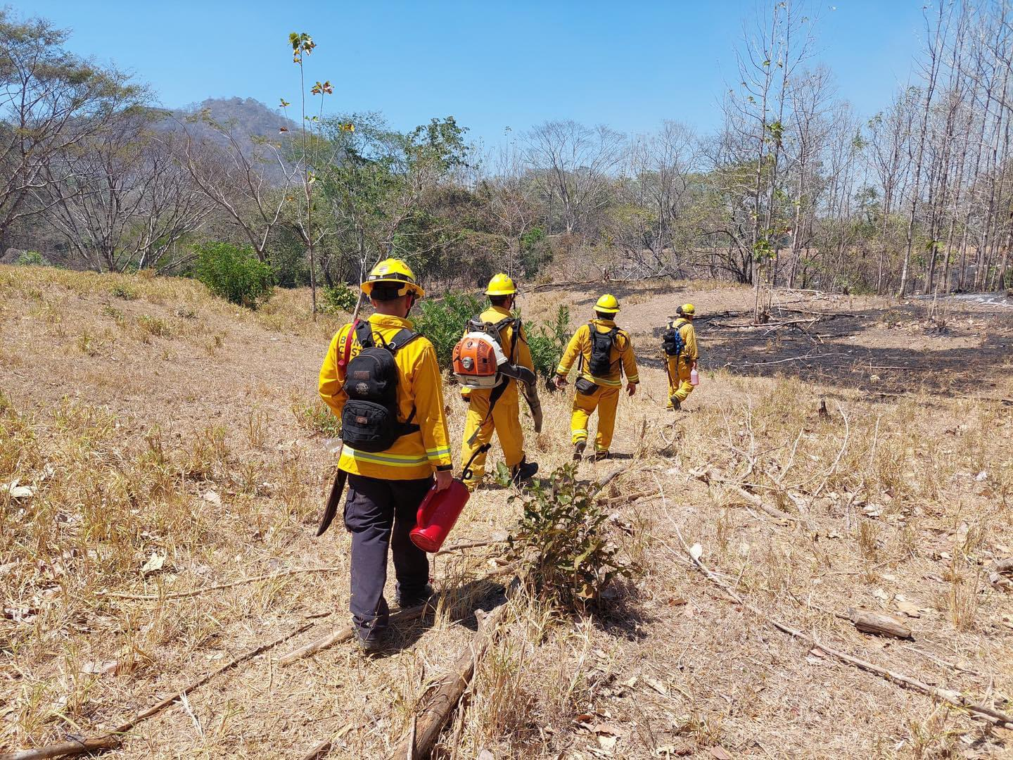 Aumento de Incendios Forestales en Costa Rica