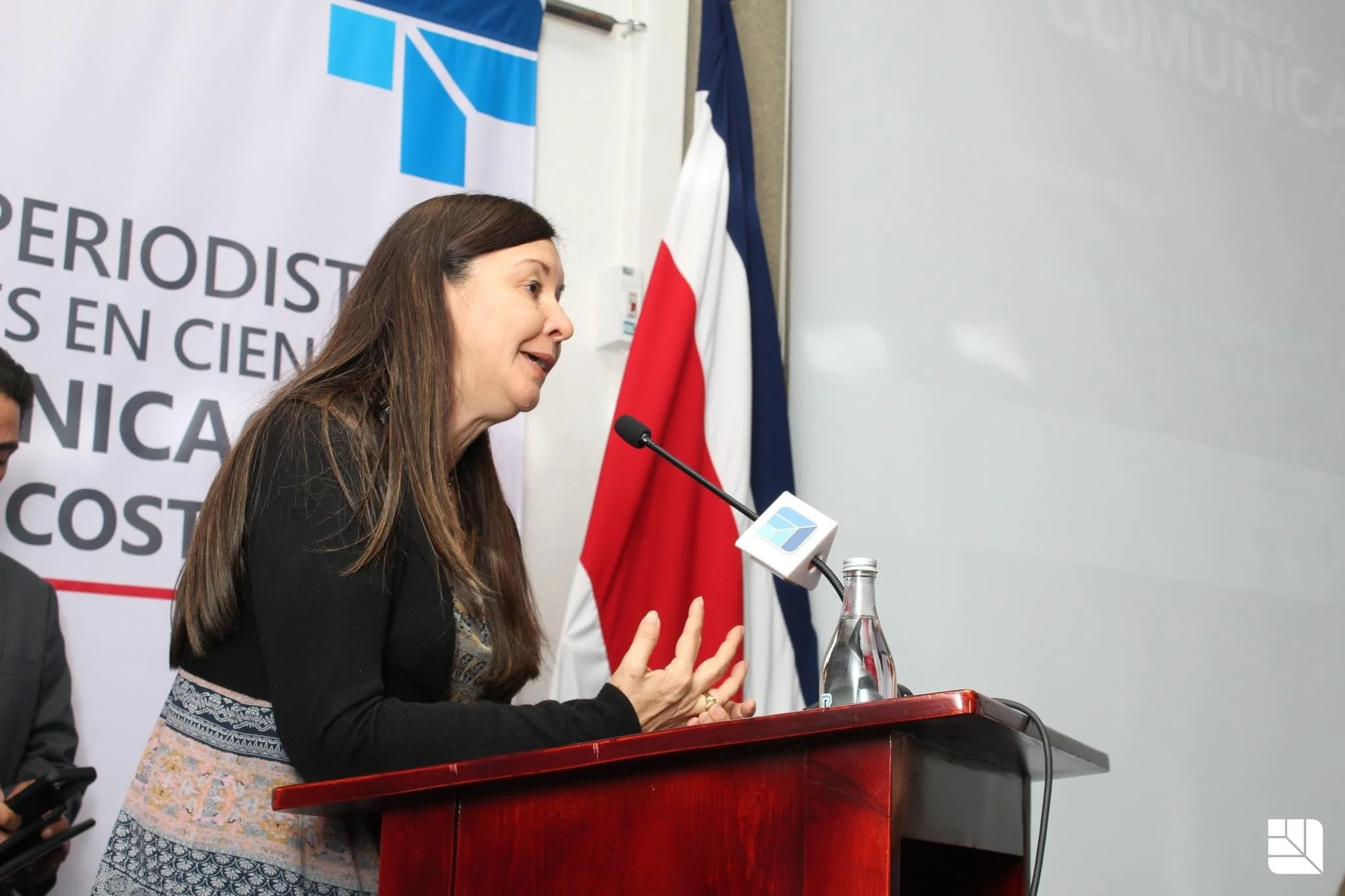 Democratización de la pauta estatal
