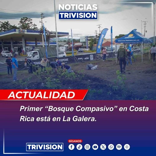 La Galera albergará el primer "Bosque Compasivo" en Costa Rica