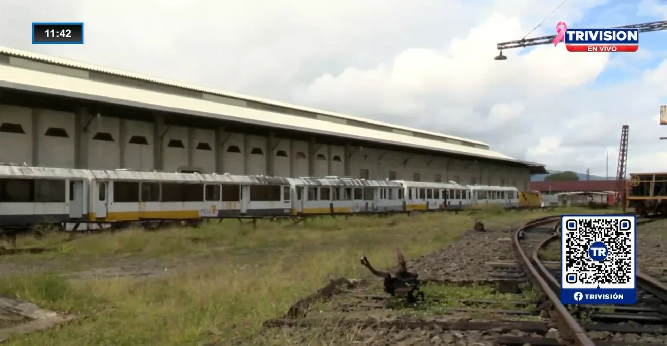 Proyecto de Tren Rápido de Pasajeros genera discusión entre diputados y avanza lentamente