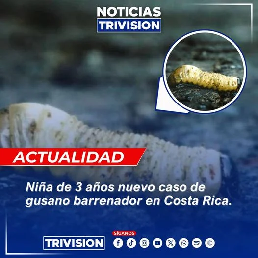 Ministerio de Salud confirma caso de gusano barrenador en niña migrante en Costa Rica