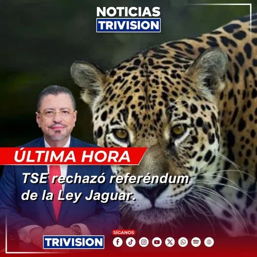 TSE rechaza referéndum sobre la "Ley Jaguar" en Costa Rica