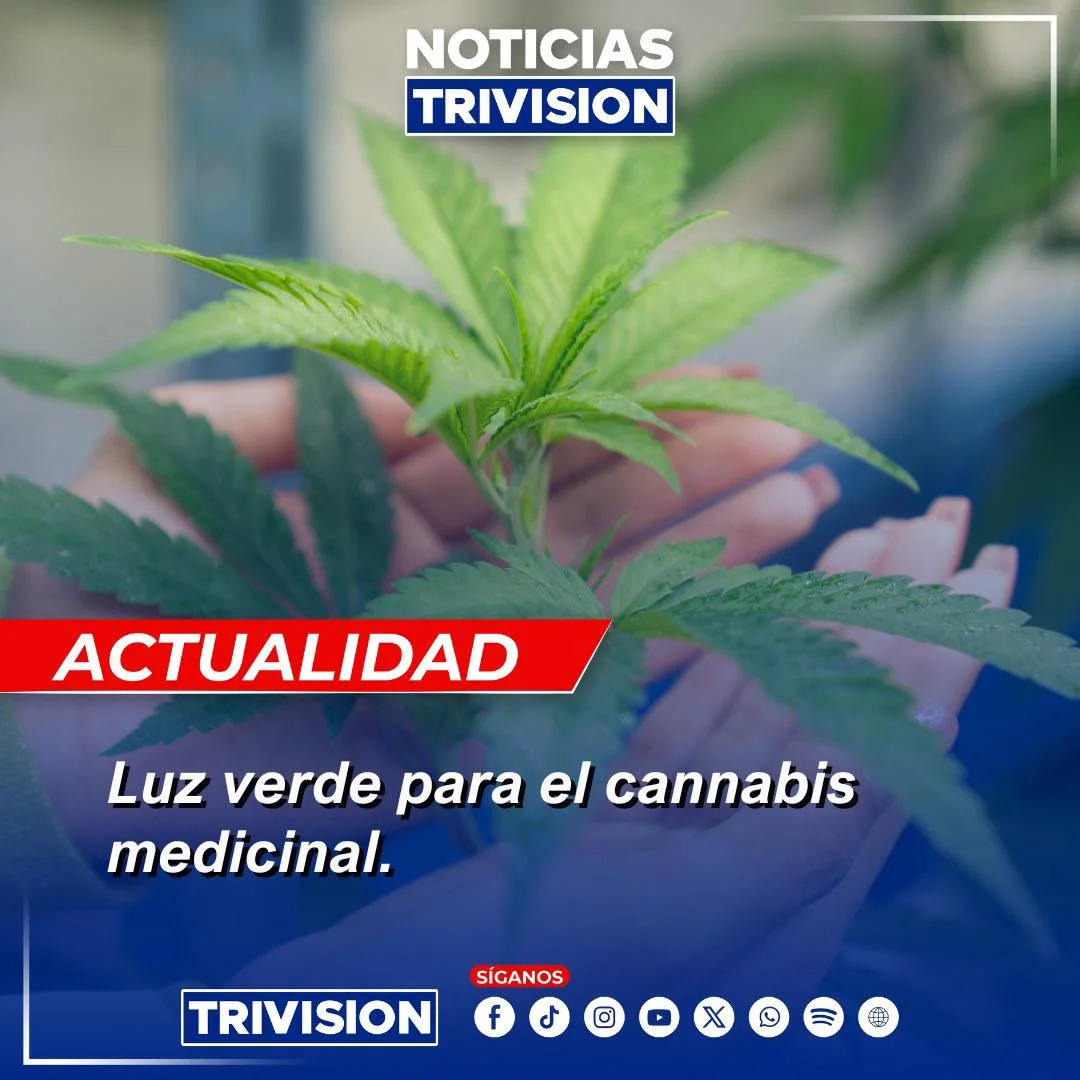 Reglamento de cannabis medicinal listo para su publicación en Costa Rica