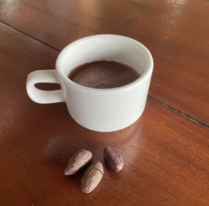 Emprendimiento costarricense de chocolate