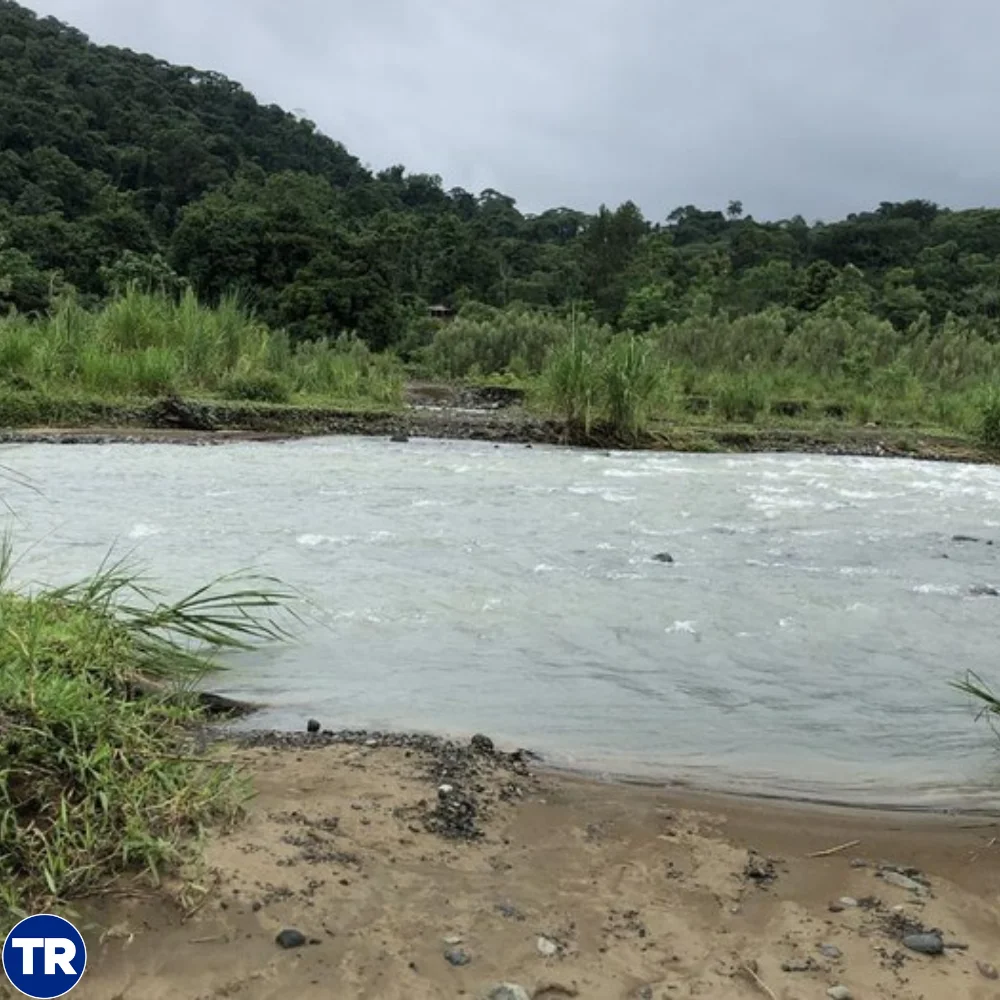 Río Paquita en Quepos pone en riesgo viviendas por abandono