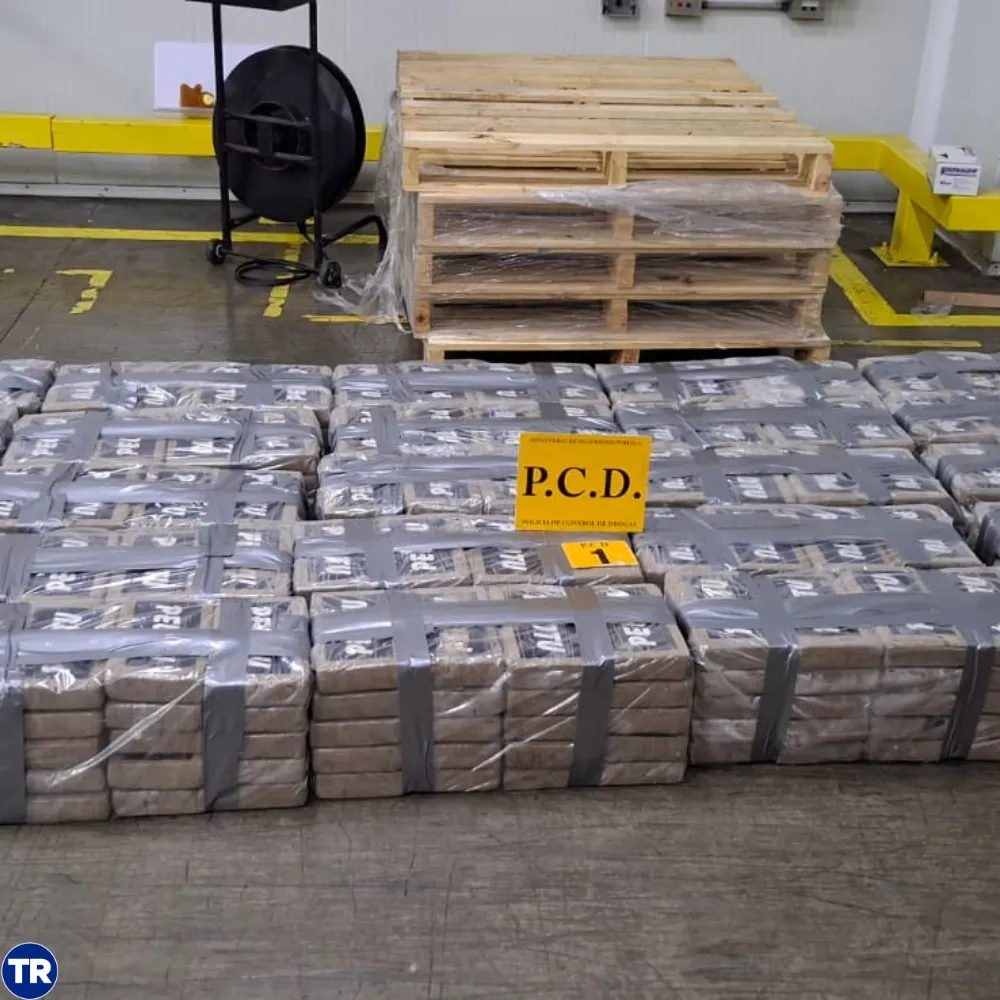 Decomisan 500 paquetes de cocaína en puerto de Moín