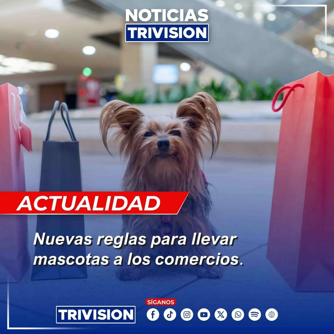 Costa Rica actualiza reglas para ingreso de mascotas a comercios
