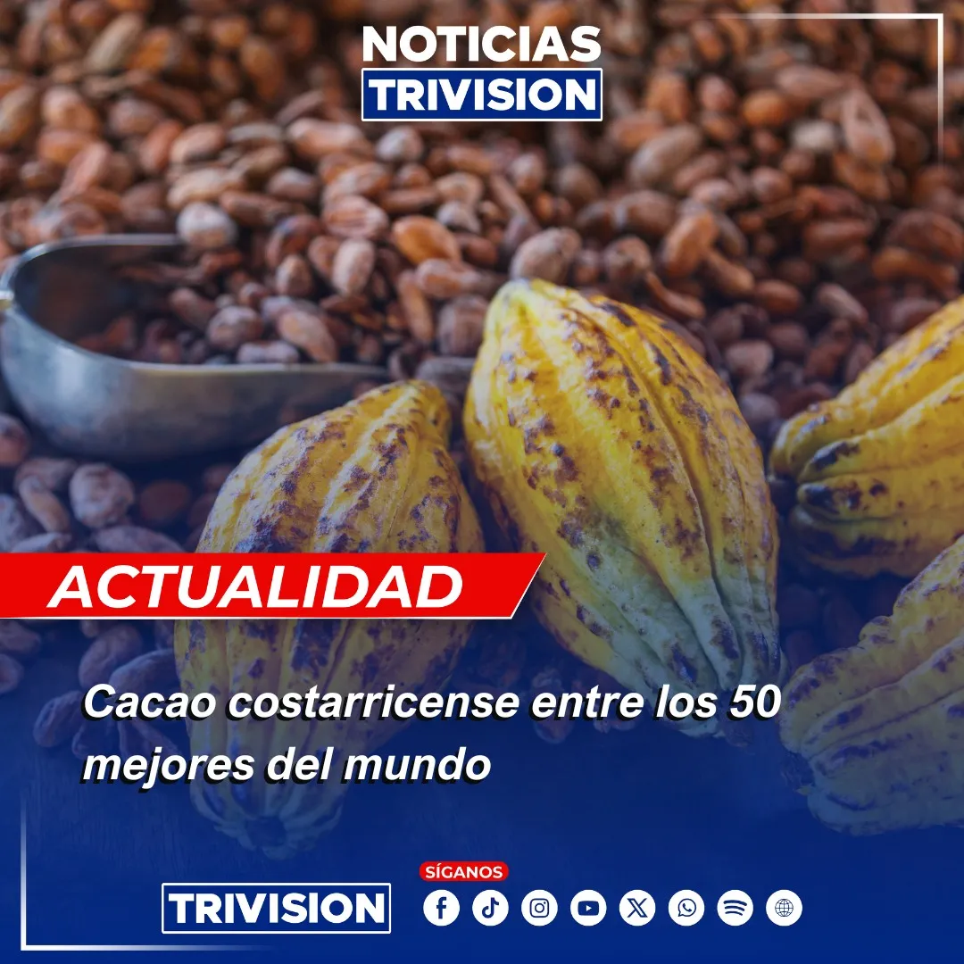 Cacao costarricense entre los 50 mejores del mundo en 2025