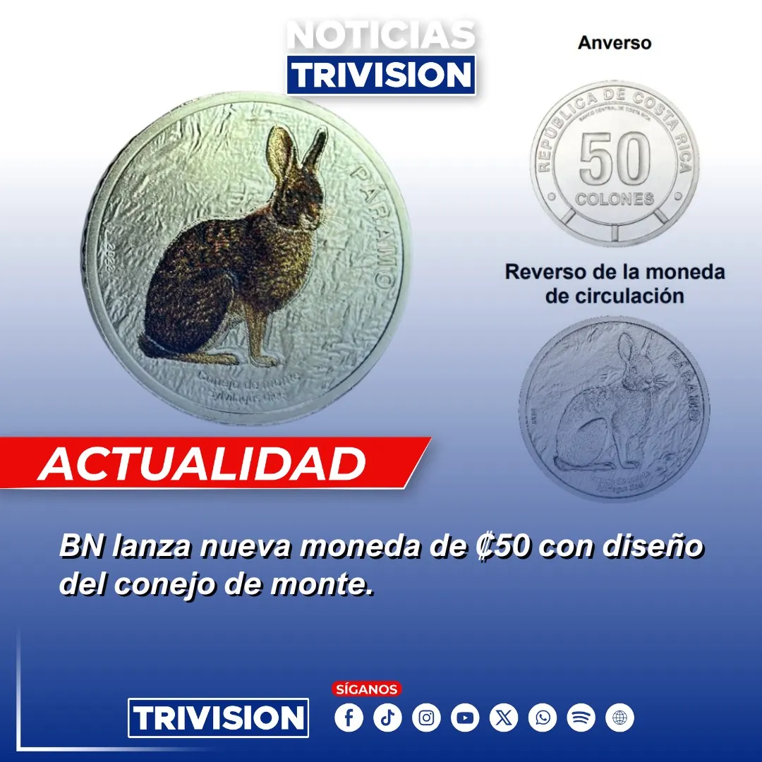 Nueva moneda coleccionable de ₡50 dedicada al conejo de monte