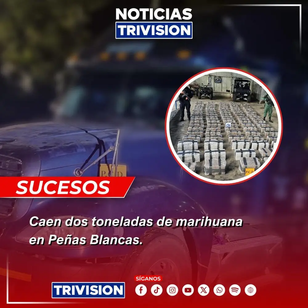 Desmantelan intento de ingreso de dos toneladas de marihuana por la frontera norte