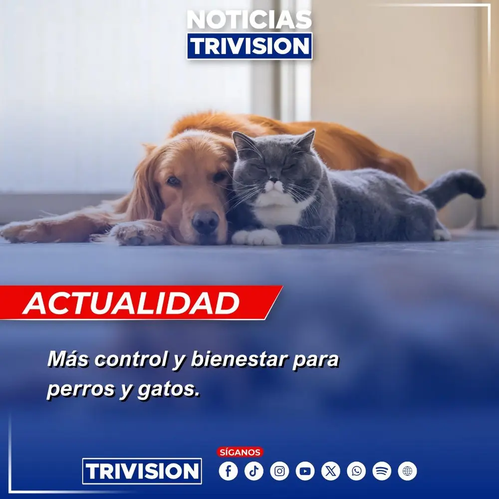 MAG fortalece protección de familias y animales en criaderos de Costa Rica
