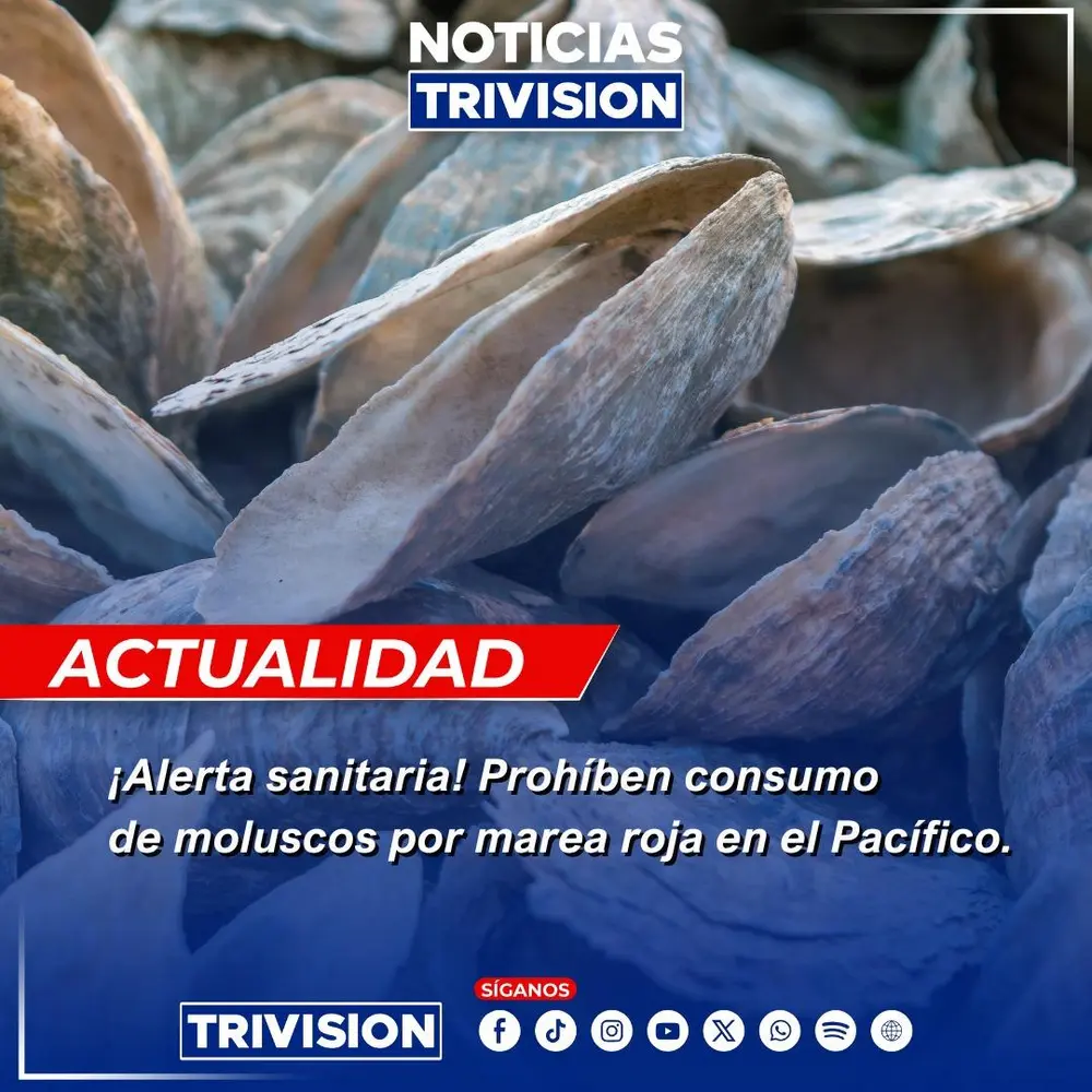 SENASA Prohíbe Extracción y Comercialización de Moluscos Bivalvos