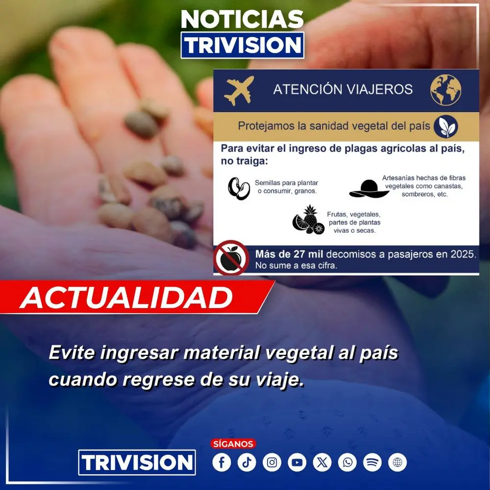 SFE advierte sobre riesgos de ingresar materiales vegetales sin autorización en Costa Rica