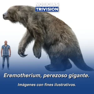 hallazgo mastodonte perezoso gigante Cartago Costa Rica