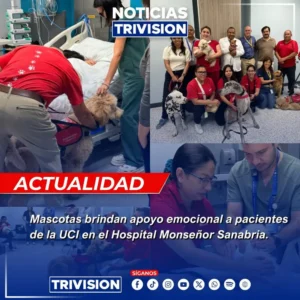 Hospital Monseñor Sanabria introduce terapia con mascotas en UCI.webp